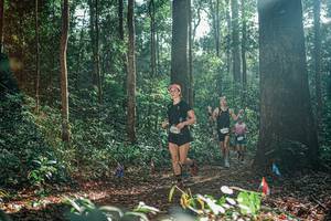 BIB: 
                            <button type="button" onclick="openModal(26073851)" class="btn btn-primary btn-sm float-right btn-popup" data-toggle="modal" data-target=".modal-high-quality">
                        <i class="fas fa-shopping-cart"></i> Add to Cart
                    </button>
                                            <button type="button" onclick="isThisMe(26073851, true)" class="btn btn-success btn-sm float-right btn-popup btn-isme hidden" data-toggle="tooltip" data-placement="bottom" title="นี่คือรูปของคุณใช่ไหม คลิกที่นี่เพื่อเอาเข้าอัลบั้ม">
                        <i class="fas fa-plus"></i> Add to album
                    </button>
                    <button type="button" onclick="isThisMe(26073851, false)" class="btn btn-warning btn-sm float-right btn-popup btn-isnotme hidden">
                        <i class="fas fa-ban"></i> Remove from album
                    </button>